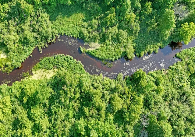 Photo 3 of Land for sale at Unassigned 155th Avenue, Milaca, MN 56353 | MLS# 7098947 | Listing updated on 2026-10-09