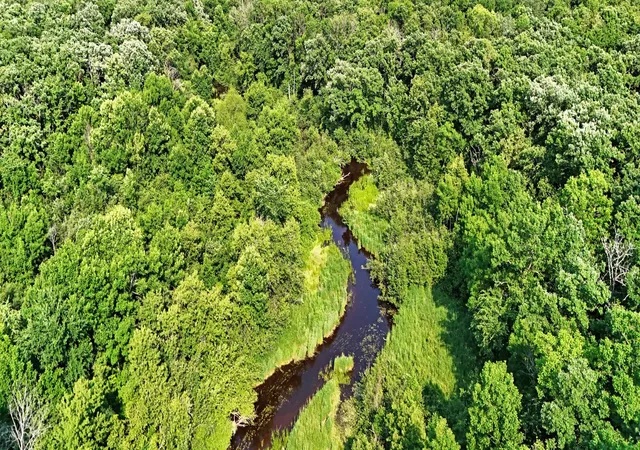 Photo 4 of Land for sale at Unassigned 155th Avenue, Milaca, MN 56353 | MLS# 7098947 | Listing updated on 2026-10-09