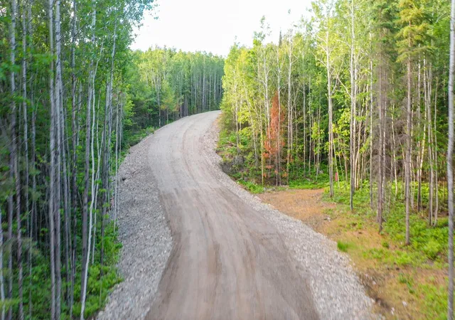 3rd image of Tbd Parcel X Frazer Bay Road, Cook, MN 55723 | MLS# 7098993