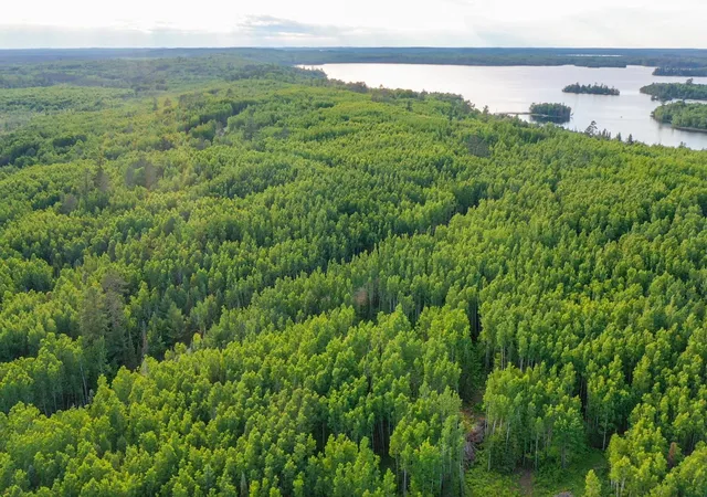 5th image of Tbd Parcel X Frazer Bay Road, Cook, MN 55723 | MLS# 7098993