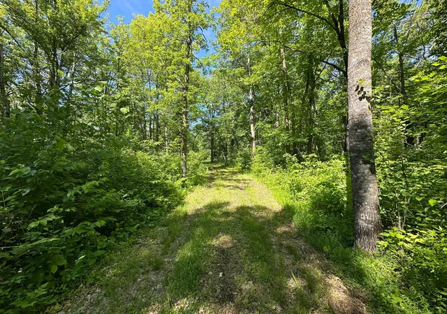 4th image of 89225 Little Oak Lake Rd, Kerrick, MN 55756 | MLS# 7099025