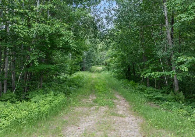 Photo 2 of Land for sale at Tbd Mitchell Rd, Nisswa, MN 56468 | MLS# 7099035 | Listing updated on 2026-07-26