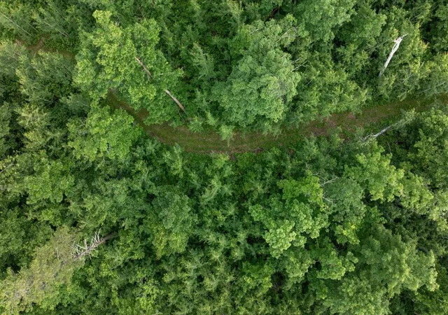 Photo 3 of Land for sale at Tbd Mitchell Rd, Nisswa, MN 56468 | MLS# 7099035 | Listing updated on 2026-07-26
