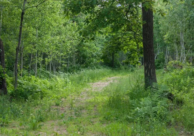 Photo 4 of Land for sale at Tbd Mitchell Rd, Nisswa, MN 56468 | MLS# 7099035 | Listing updated on 2026-07-26