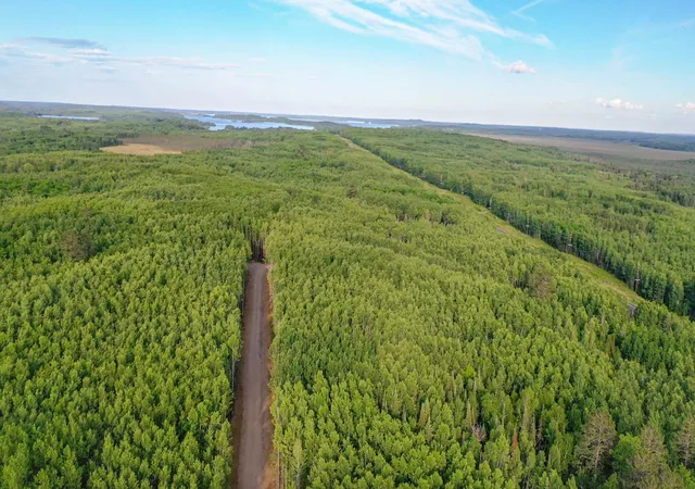 11th image of Tbd Parcel 27 Frazer Bay Road, Cook, MN 55723 | MLS# 7099042