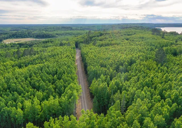 4th image of Tbd Parcel 27 Frazer Bay Road, Cook, MN 55723 | MLS# 7099042