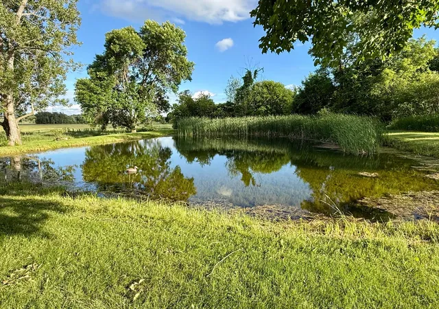 5th image of 12456 10Th Ave, Swanville, MN 56382 | MLS# 7099168