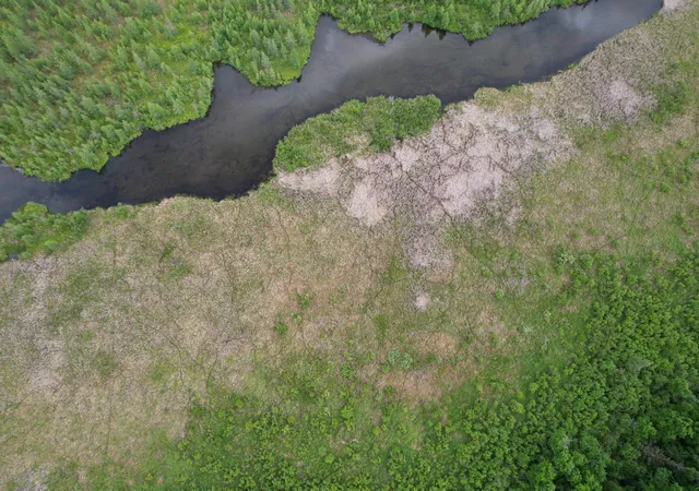 5th image of Tbd 340Th St, Menahga, MN 56464 | MLS# 7099176
