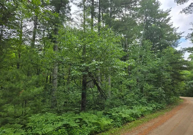 Photo 3 of Sale Pending at Tbd Isle Harbor Dr, Federal Dam, MN 56641 | MLS# 7099289 | Listing updated on 2026-09-25