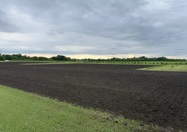 Photo 1 of Land for sale at Tbd County Rd 15, Minto, ND 58261 | MLS# 7099506 | Listing updated on 2026-06-26