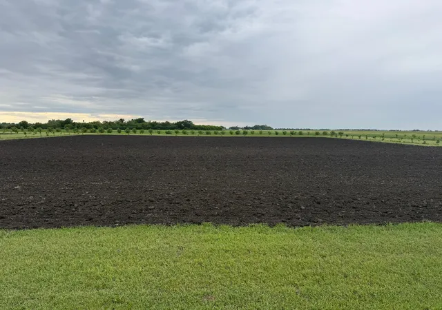 Photo 3 of Land for sale at Tbd County Rd 15, Minto, ND 58261 | MLS# 7099506 | Listing updated on 2026-06-26