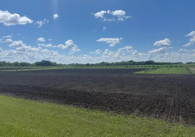 Photo 5 of Land for sale at Tbd County Rd 15, Minto, ND 58261 | MLS# 7099506 | Listing updated on 2026-06-26
