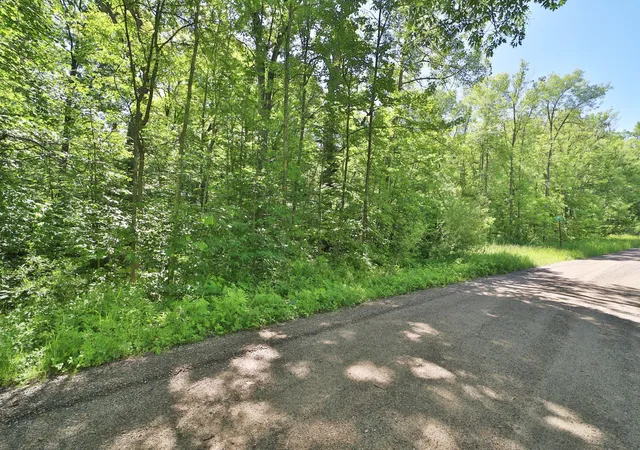3rd image of Tbd Meander Wy, Garrison, MN 56450 | MLS# 7099516