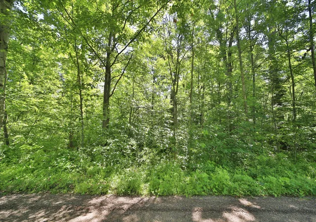 4th image of Tbd Meander Wy, Garrison, MN 56450 | MLS# 7099516