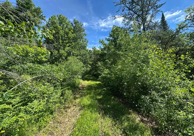 3rd image of Tbd Oak Leaf Rd, Kerrick, MN 55756 | MLS# 7099553