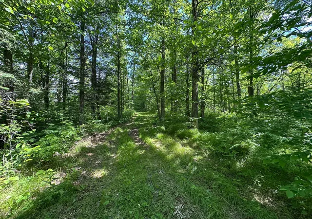 4th image of Tbd Oak Leaf Rd, Kerrick, MN 55756 | MLS# 7099553
