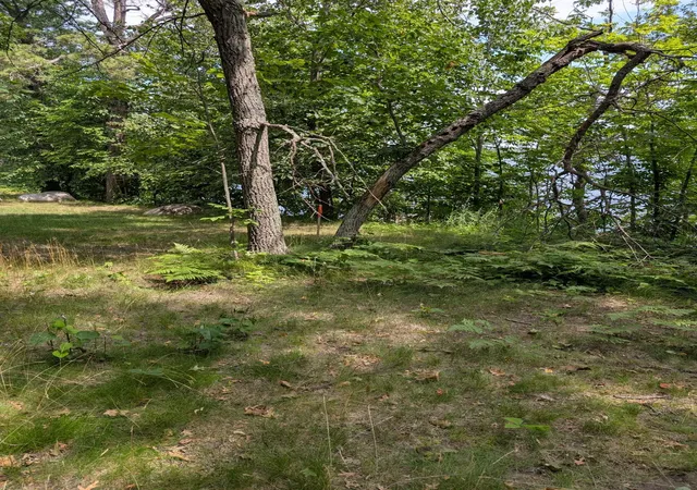 3rd image of 18224 Turtle Bay Trail, Crosby, MN 56441 | MLS# 7099641