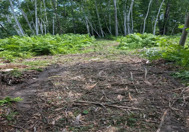 9th image of 18224 Turtle Bay Trail, Crosby, MN 56441 | MLS# 7099641