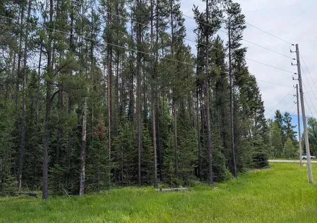 1st image of Tbd Vermilion Trail, Aurora, MN 55705 | MLS# 7099764