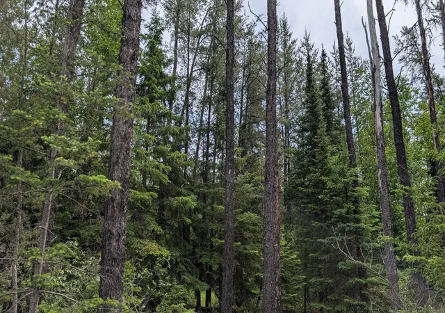 Photo 4 of Land for sale at Tbd Vermilion Trl, Aurora, MN 55705 | MLS# 7099764 | Listing updated on 2026-06-26