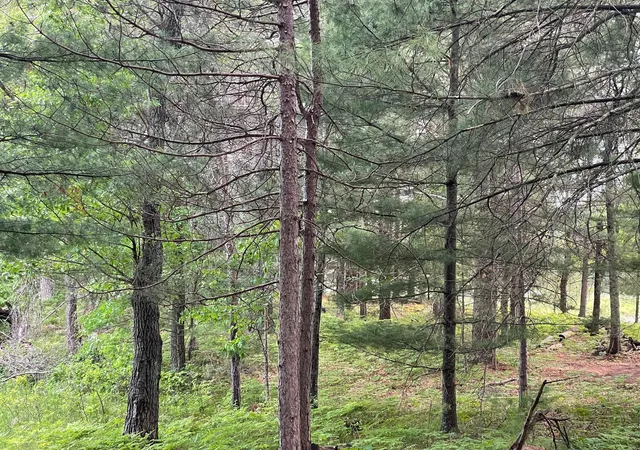 Homes for sale in Danbury, WI | Lot 4 Big Bear Ct, Danbury, WI 54830 | MLS# 7099814