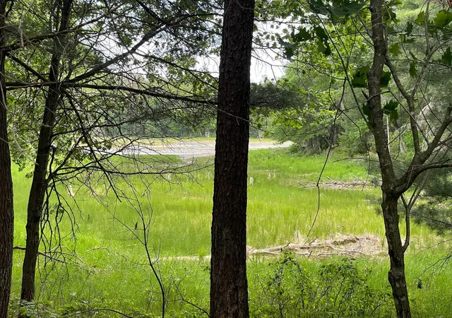 Homes for sale in Danbury, WI | Lot 4 Big Bear Ct, Danbury, WI 54830 | MLS# 7099814