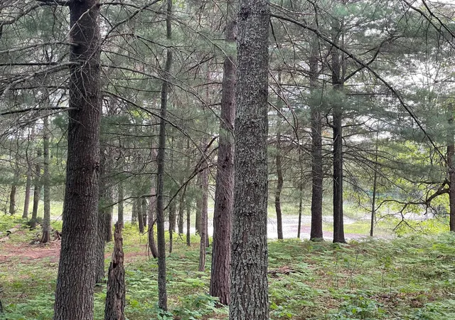 Homes for sale in Danbury, WI | Lot 4 Big Bear Ct, Danbury, WI 54830 | MLS# 7099814