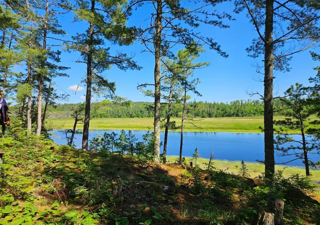 Homes for sale in Orr, MN | 7168 Gold Mine Rd, Orr, MN 55771 | MLS# 7099836