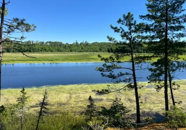 Homes for sale in Orr, MN | 7168 Gold Mine Rd, Orr, MN 55771 | MLS# 7099836