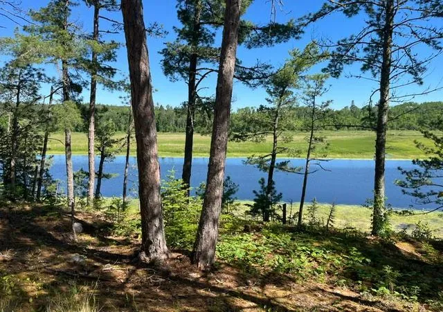 Homes for sale in Orr, MN | 7168 Gold Mine Rd, Orr, MN 55771 | MLS# 7099836