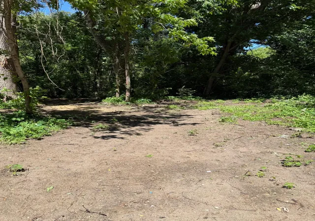 3rd image of 35619 Bataan St Ne, Cambridge, MN 55008 | MLS# 7100075