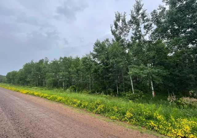 Homes for sale in Sandstone, MN | Tbd Klejeski Rd, Sandstone, MN 55072 | MLS# 7100110