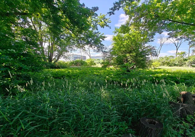 Photo 1 of Land for sale at 18 Westwood Cir, Hopkins, MN 55305 | MLS# 7100148 | Listing updated on 2026-06-29