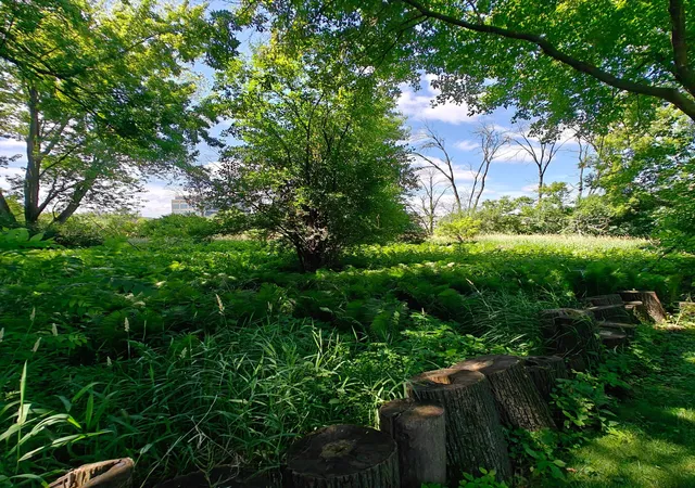 Photo 2 of Land for sale at 18 Westwood Cir, Hopkins, MN 55305 | MLS# 7100148 | Listing updated on 2026-06-29