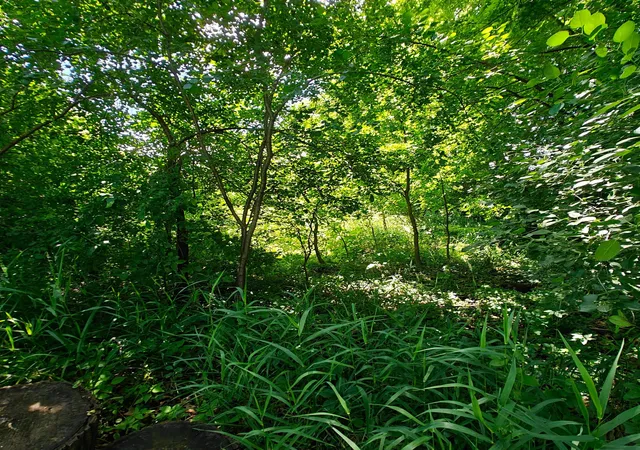 Photo 4 of Land for sale at 18 Westwood Cir, Hopkins, MN 55305 | MLS# 7100148 | Listing updated on 2026-06-29