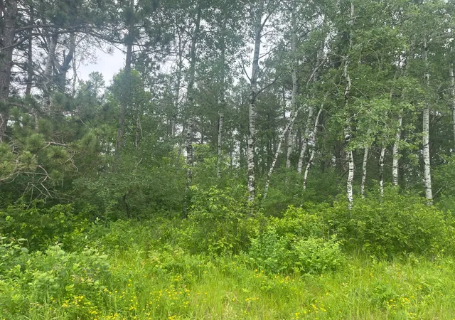 2nd image of Tbd Degerstrom Rd, Askov, MN 55704 | MLS# 7100192