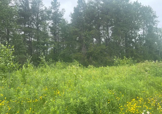 3rd image of Tbd Degerstrom Rd, Askov, MN 55704 | MLS# 7100192