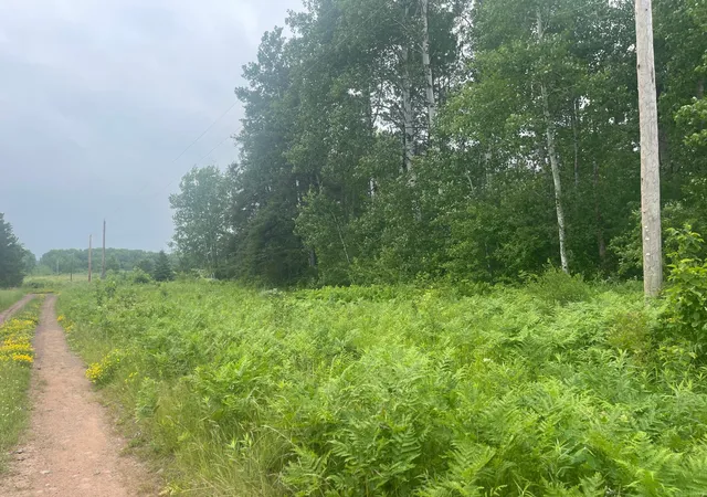 4th image of Tbd Degerstrom Rd, Askov, MN 55704 | MLS# 7100192
