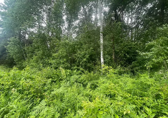 5th image of Tbd Degerstrom Rd, Askov, MN 55704 | MLS# 7100192