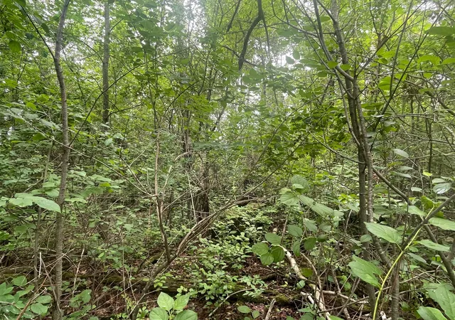 7th image of Tbd Degerstrom Rd, Askov, MN 55704 | MLS# 7100192
