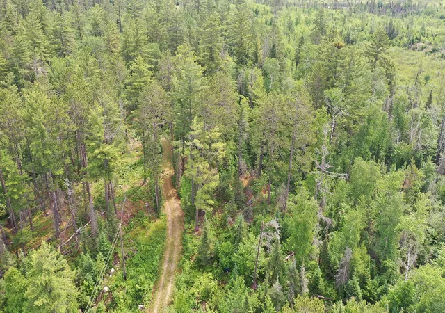 2nd image of 1648 Golden Ridge Trl, Ely, MN 55731 | MLS# 7100519