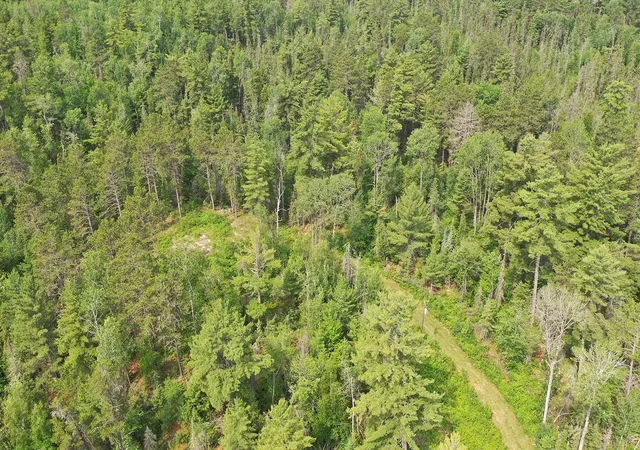 3rd image of 1648 Golden Ridge Trl, Ely, MN 55731 | MLS# 7100519