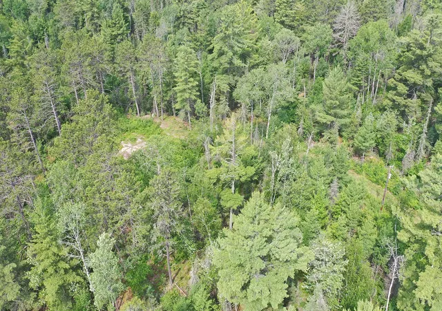 4th image of 1648 Golden Ridge Trl, Ely, MN 55731 | MLS# 7100519