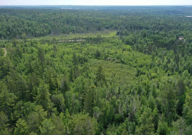 5th image of 1648 Golden Ridge Trl, Ely, MN 55731 | MLS# 7100519
