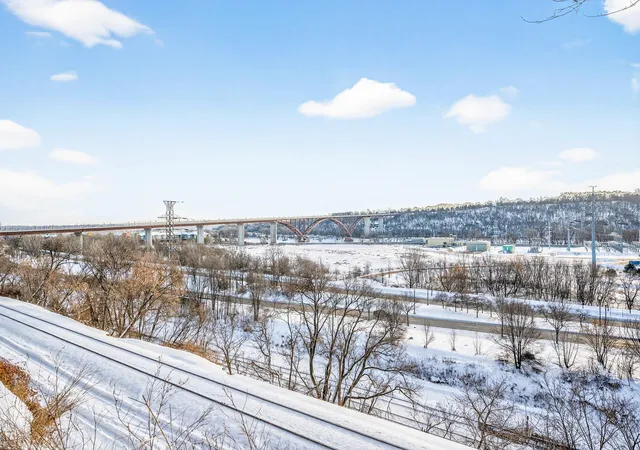 41st image of 323 W Michigan St, Saint Paul, MN 55102 | MLS# 7100735