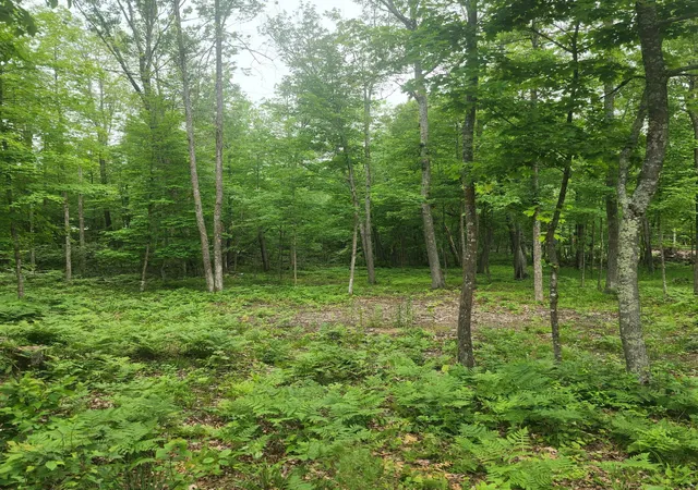 Homes for sale in Mc Gregor, MN | Tbd 186th Ave, Mc Gregor, MN 55760 | MLS# 7100811