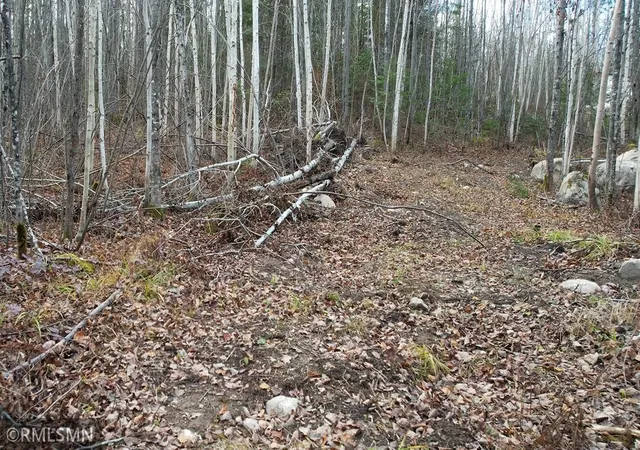 Photo 3 of Land for sale at Lot 1 Boulder Ridge Rd, Cook, MN 55723 | MLS# 7100850 | Listing updated on 2026-07-02