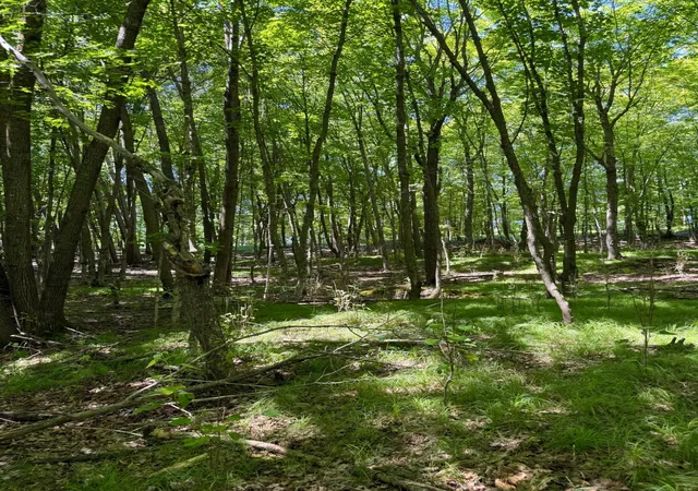 21st image of Tbd 4 Clearwater Point Rd, Brainerd, MN 56401 | MLS# 7100927