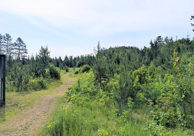 38th image of 86196 Military Rd, Sturgeon Lake, MN 55783 | MLS# 7101021