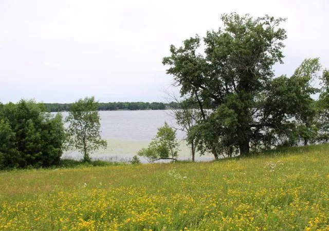 Homes for sale in Deerwood, MN | Lot C Echo Ridge, Deerwood, MN 56444 | MLS# 7101097